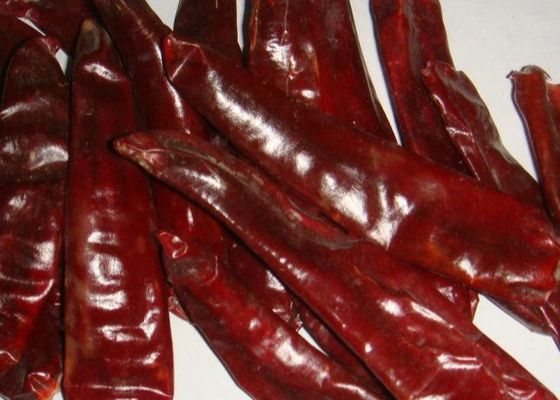 La nourriture mexicaine a séché le piment 5000 SHU Dried Red Peppers Paprika de Guajillo