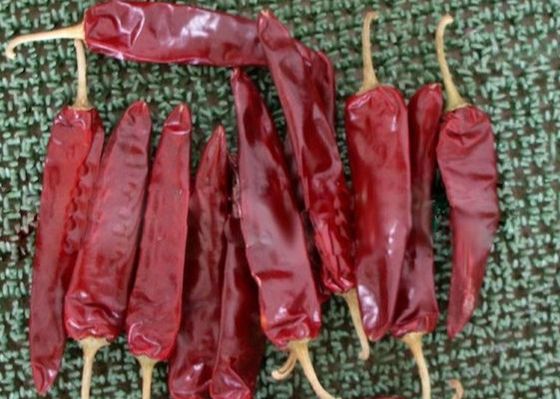 La nourriture mexicaine a séché le piment 5000 SHU Dried Red Peppers Paprika de Guajillo