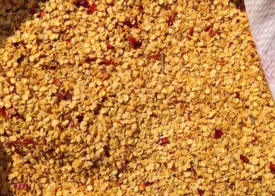 Le granule a séché des piments sème 10PPB 15000 SHU Spicy Pepper Seeds HACCP