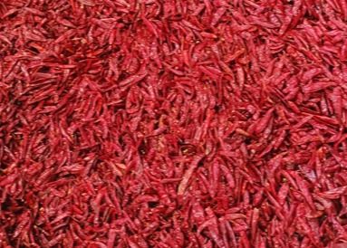 Tien-Tsin a séché des oiseaux observent les poivrons rouges entiers anhydres XingLong de piments