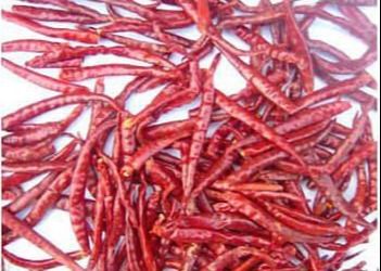 30000 SHU Chinese Dried Chili Peppers Chili Pods Hot Tasty rouge piquant