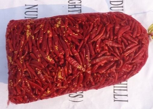 Asiatique sec par 7CM Chili Peppers 10000 SHU Dried Long Red Chillies