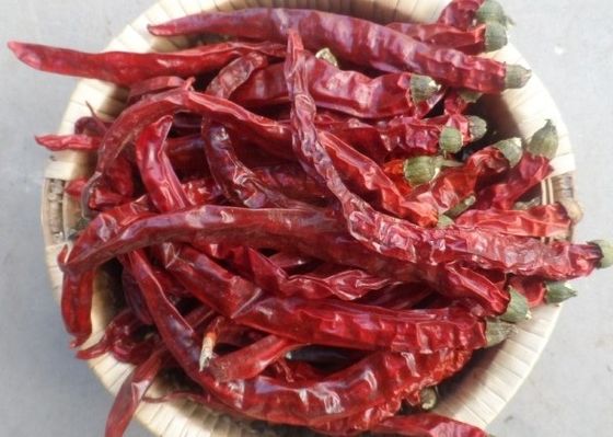 Poivrons de piments rouges secs de assaisonnement pour tous l'importateur d'épice 4-7 cm