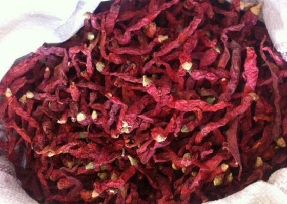 Poivrons de piments rouges secs de assaisonnement pour tous l'importateur d'épice 4-7 cm