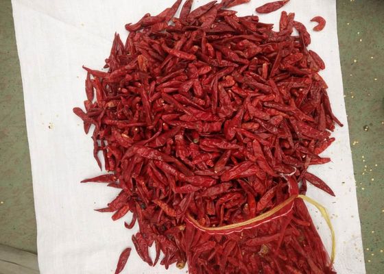 Assaisonnements déshydratés d'épices et d'herbes de Paprika Dried Red Chilli Peppers de légumes