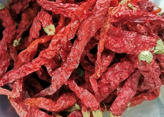 Épices matérielles sèches de Chili Hot Pot Seasoning Raw de poivre de millet de Guizhou Mantianxing