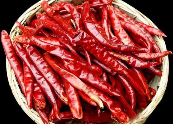 Piment de Cayenne rouge séché à faible teneur en humidité 12% Max 1% Haute pureté