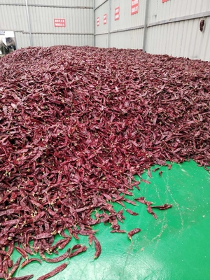 Paprika entière au poivre rouge de qualité A avec 1