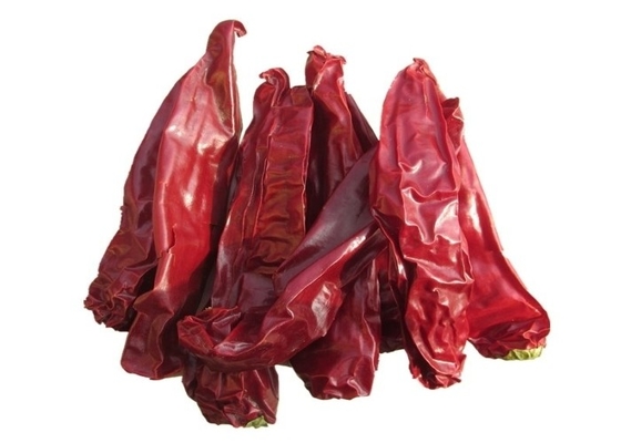 Humidité organique de cm 12% des piments 10 de Beijinghong Jinta de poivron rouge de piments de Yidu