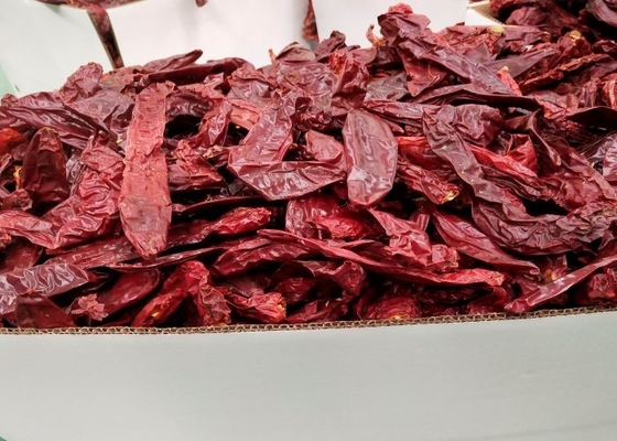 Humidité organique de cm 12% des piments 10 de Beijinghong Jinta de poivron rouge de piments de Yidu