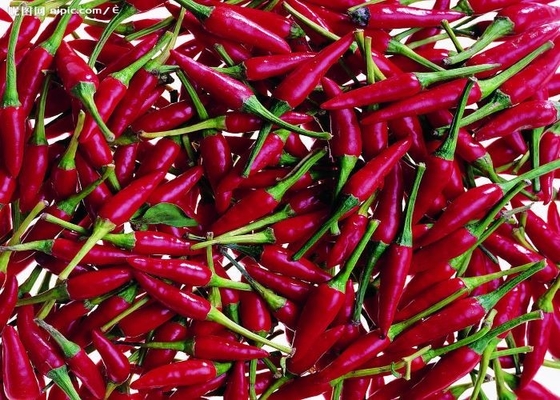 Les piments rouges écrasés épicés chauds poivrent la maille 120 ASTA de la poudre 60