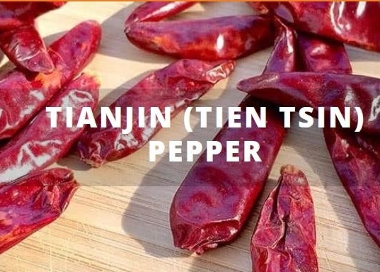 Emballage sous vide de Tianjin Tien Tsin Chile Peppers In 5lb de Chinois