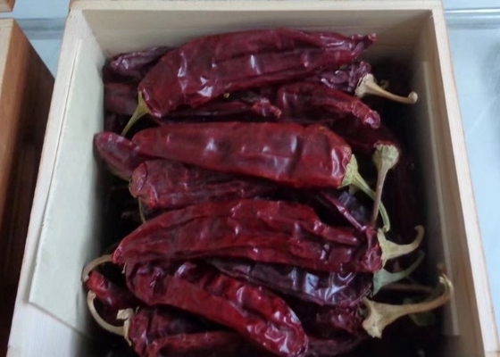 Piments rouges de Jinta 0,3% emballages de Max Impurity Strong Pungent Flavor 25KG