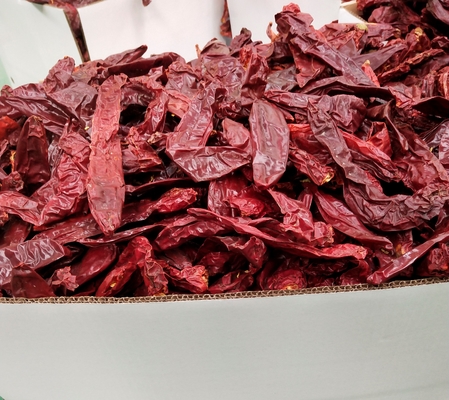 Piment séché Guajillo lisse 500SHU cuir 0,3% maximum avec/sans tige