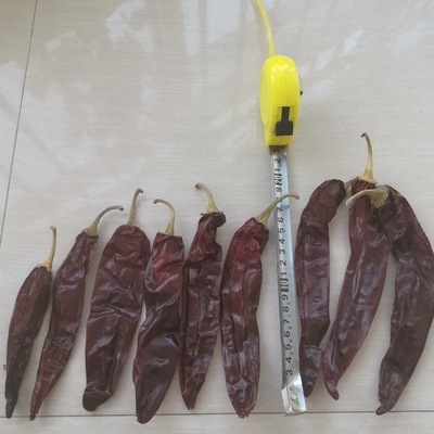Guajillo séché à l'étouffée