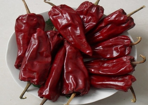 HACCP 200g Yidu Chili Ingrédients 7 - 15 cm saveur de piment piquant