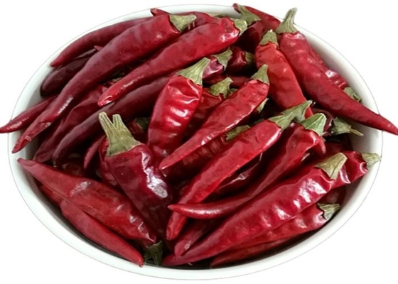 Piments rouges séchés à chaud à 50 grammes, piquants 4 à 7 cm, séchés au soleil 25 kg/sac