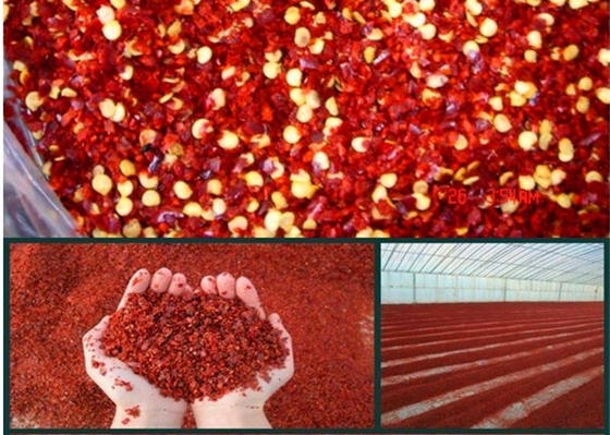 Le piment écrasé rouge de Tianjin Yidu Jinta poivre la maille épicée des flocons 40 000 SHU 5-8