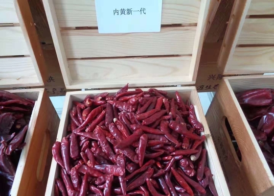 Le Chinois acaule Chaotian Szechuan a séché les poivrons de piments rouges haut SHU