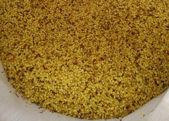 SHU5000-15000 Graines de piment hybrides Tianjin ou Yidu séchées pour poudre d'épices