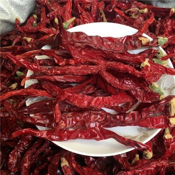 Piments rouges séchés sans tiges ou coupés à la tige 99% de pureté avec une forte saveur piquante