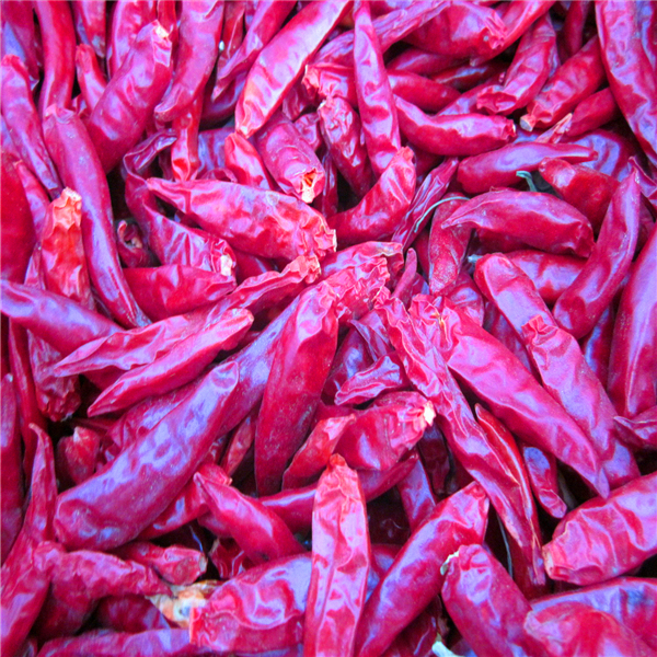 4-7cm Cayenne Piments rouges séchés Conditions de stockage Lieu frais et sec