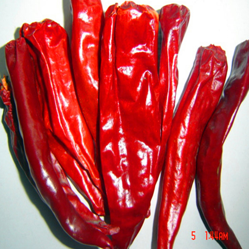Hot Pot / Cuisine du Sichuan Piments rouges séchés avec une saveur forte et piquante