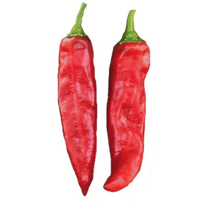 Des pousses de piment rouge riches en vitamines A et C 8000-12000shu