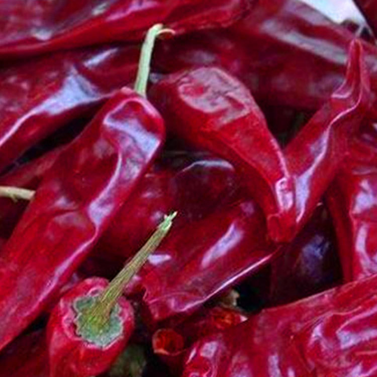 10 kg/sac de poivrons secs rouges avec de la force et des poivrons sans tiges ou coupés