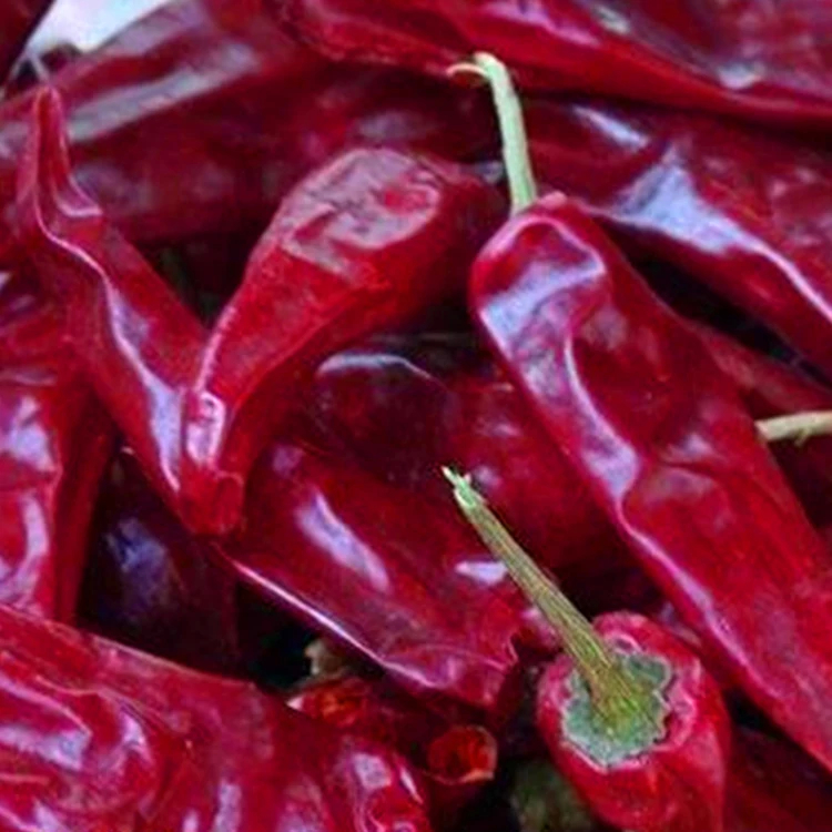 Poivrons rouges séchés à l' air pour le pot chaud épicé et la cuisine du Sichuan