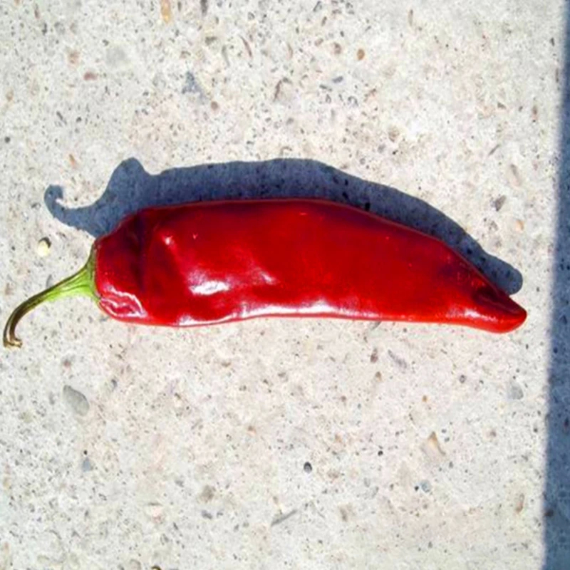 Paprika audacieux au goût intense de piment, couleur rouge riche et 8-12% d'humidité