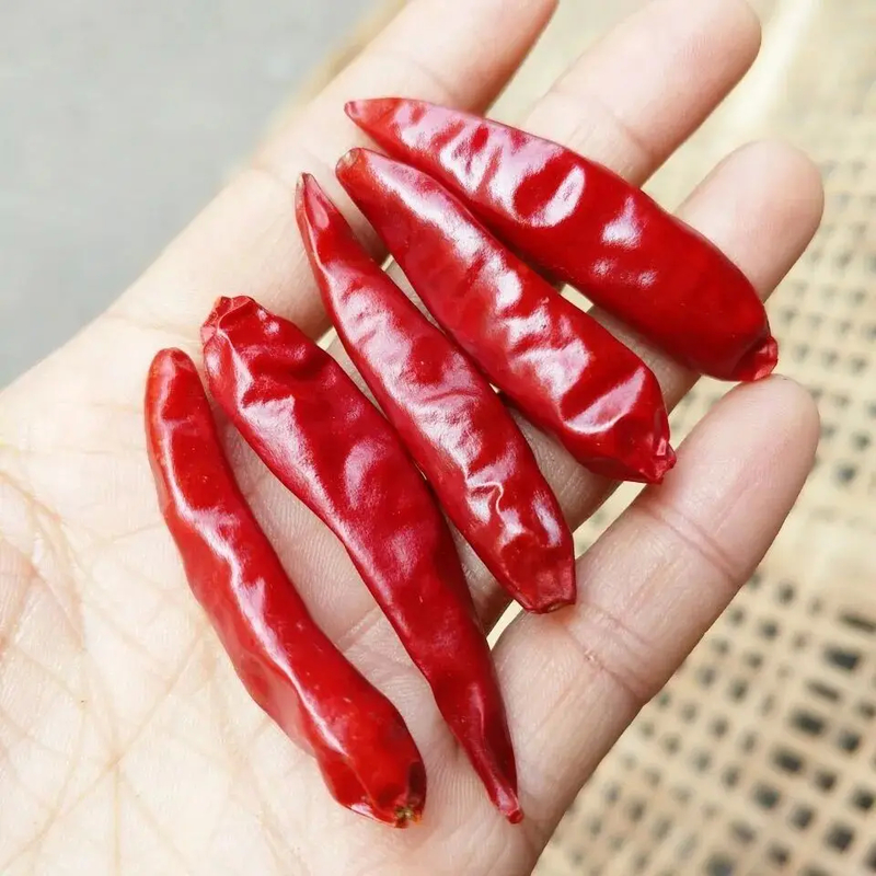 Des piments rouges entiers séchés / des piments asiatiques séchés