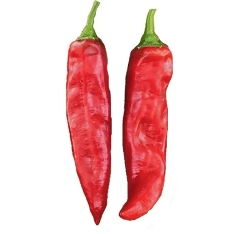 Poudre de piments épicés finement broyés Vitamine C Couleur rouge naturel