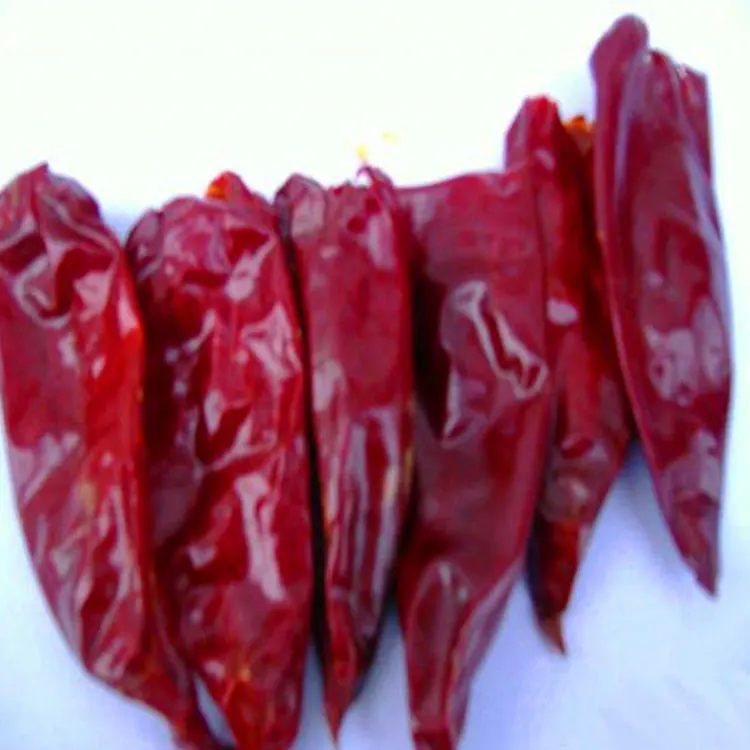 7-15cm de longueur Yidu Chili Fort saveur de piment piquant pour le stockage à sec et frais