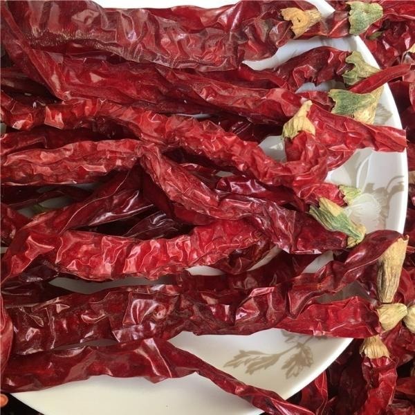 Découvrez la chaleur des piments secs, une saveur forte et piquante pour un stockage frais et sec.