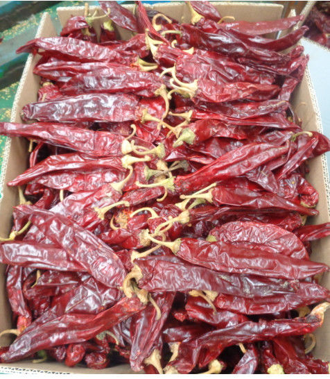 Paprika rouge sucré déshydraté Chilli Extraction de pigment de couleur Piment chaud