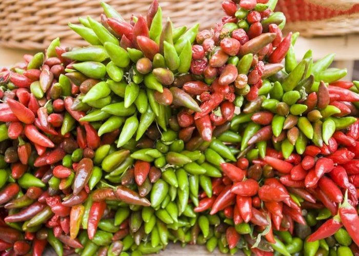 Des poivrons secs à haute température 10000-20000shu Poivre de poivre pour votre bien