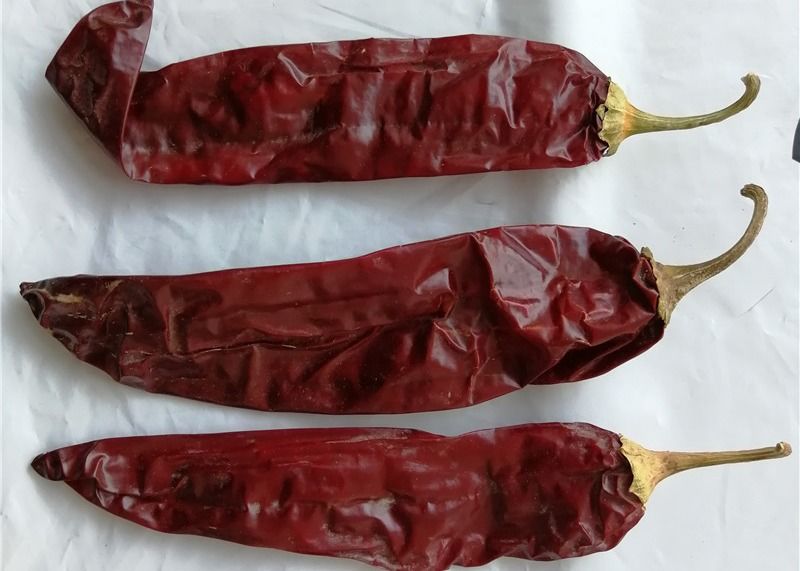 Durée de conservation d'un an Paprika sucré poivre séché ajout de piment rouge pour ingrédient alimentaire de haute qualité