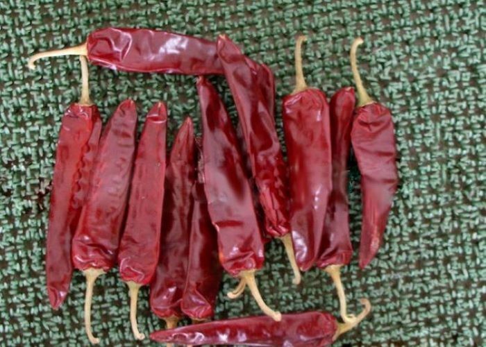 Humidité ≤14% Paprika sucré Piment Chili rouge Capsicum à température de stockage de 0 à 28 °C